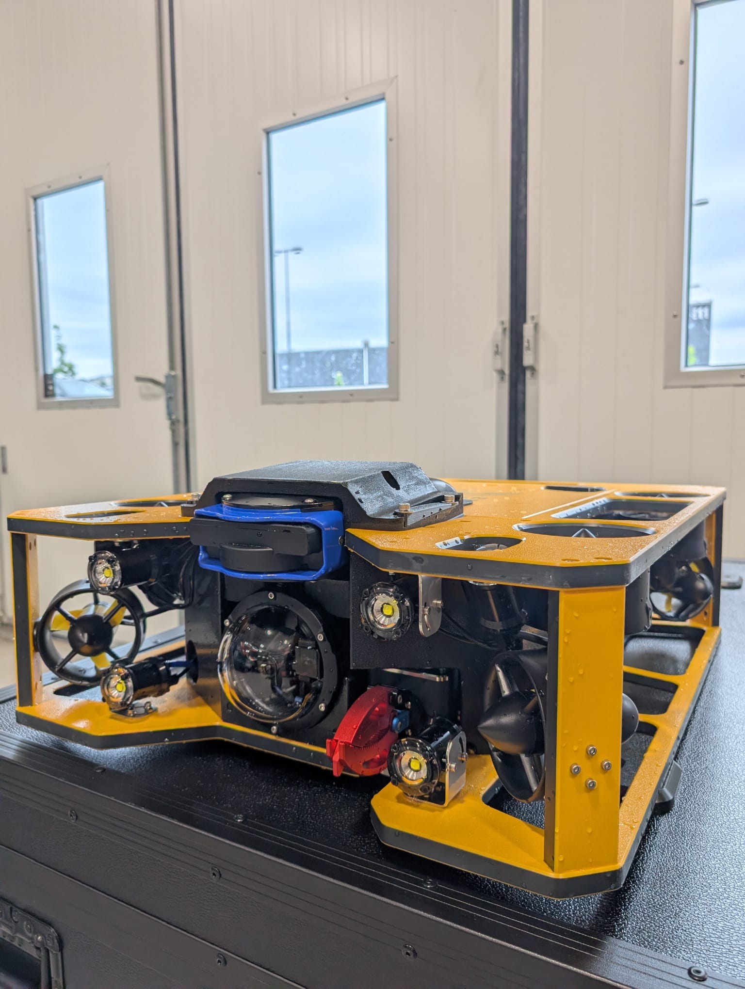 ROV SERVICES